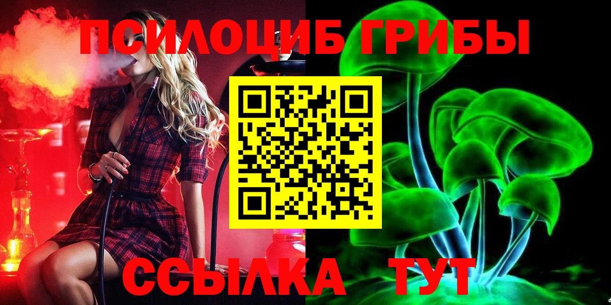 Великие Луки  Псилоцибиновые грибы Psilocybine cubensis  Вход с VPN 